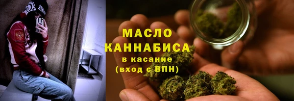 дмт Краснослободск