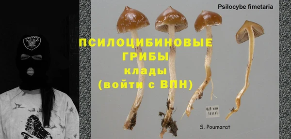 дмт Краснослободск