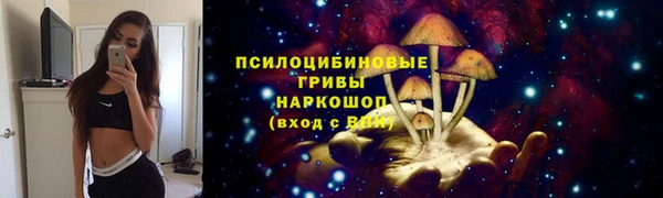 дмт Краснослободск