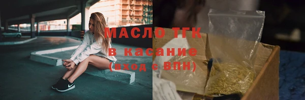 дмт Краснослободск