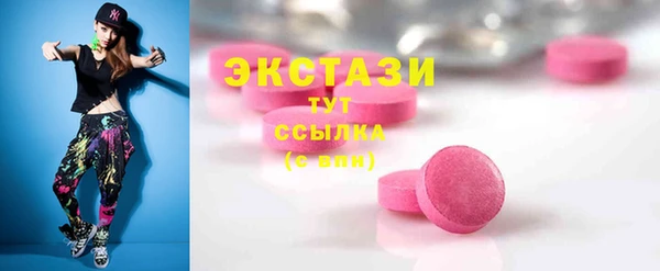 дмт Краснослободск