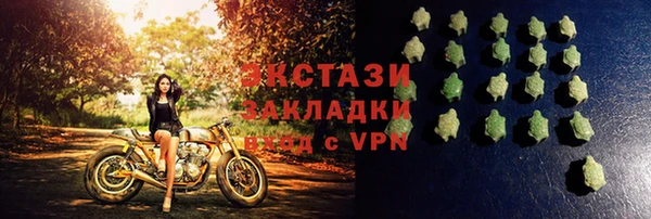 дмт Краснослободск