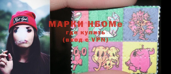 дмт Краснослободск