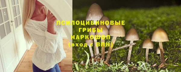 дмт Краснослободск