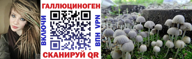 Галлюциногенные грибы прущие грибы Купить закладки Вольск